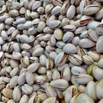 Ahmed Pistachio